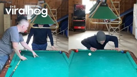Pool Trickshot Gone Wrong || ViralHog