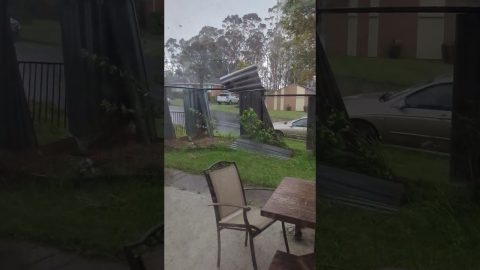 Storm Steals A Fence || ViralHog