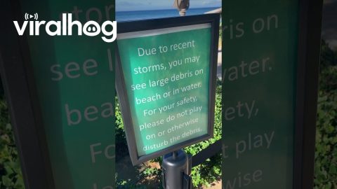 Boat Debris Washes Up On Beach || ViralHog