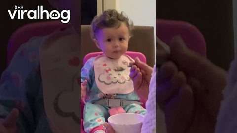 Baby Is Fed Up || ViralHog