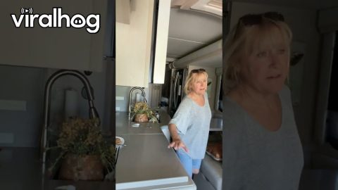 When Your Husband Wants a Sandwich in a Construction Zone || ViralHog