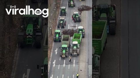 Demonstration of Farmers in Berlin || ViralHog