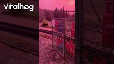 Atmospheric Conditions Bathe World in Pink Light || ViralHog