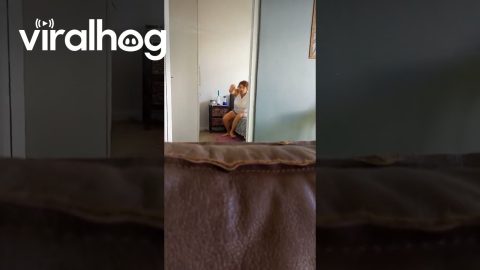 Mom Runs Into Tape in the Doorway || ViralHog