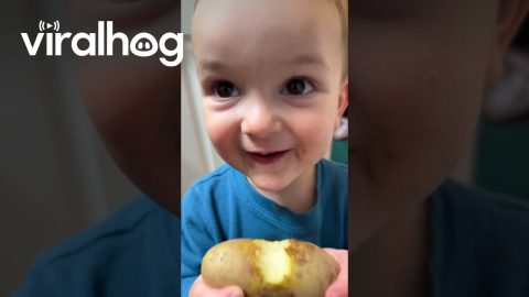 Munching On Raw Potato || ViralHog