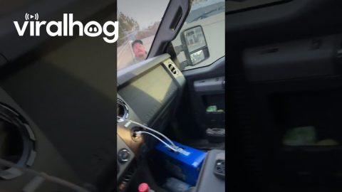 Can Cracks Windshield After Car Honk Startles || ViralHog