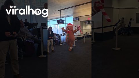 Gingerbread Man Spreads Christmas Cheer In The Airport || ViralHog