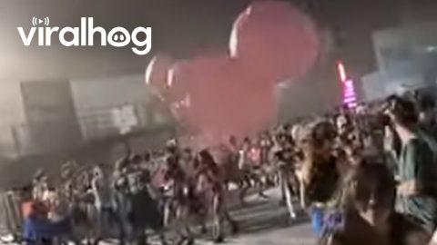 Storm Sends Pink Bear Flying Through Crowd of Fleeing Festival Goers || ViralHog