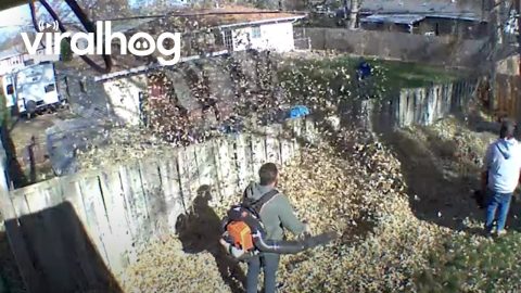 Contention Over Neighbor's Leaf Containment || ViralHog