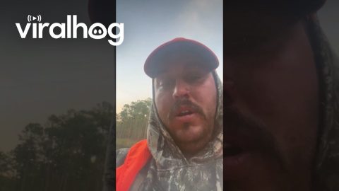 Bald Eagle Lands on Man's Shoulder || ViralHog