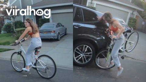 Biker Got Distracted || ViralHog