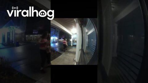 Porch Pirate Neighbor Steals Package Of Dirty Diapers || ViralHog