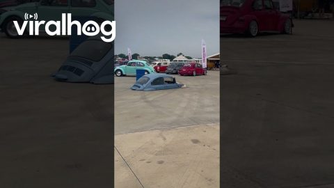 Custom Lowrider Bug Kart || ViralHog
