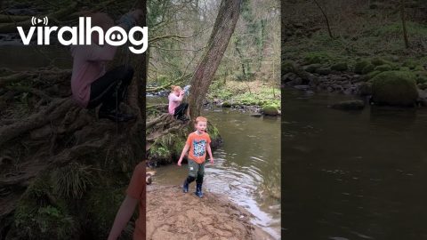 Rope Swing Fail Dunks Daughter || ViralHog