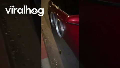 This Car Has Some Wild Mods || ViralHog