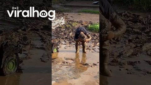 Boy Plays in Mud Puddle || ViralHog