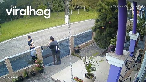 Dog Goes On The Run || ViralHog