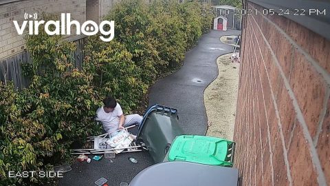Overloaded Recycling Bin Tips Over || ViralHog
