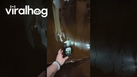 Vintage Shower Isn't Very Practical || ViralHog