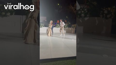 Fun Mother-Son Wedding Dance || ViralHog