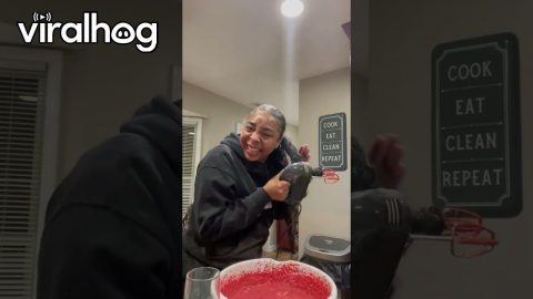 Ponytail Tangles In Home Baker's Hand Mixer || ViralHog
