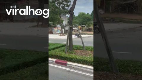 Bike Takes Itself On Ride || ViralHog