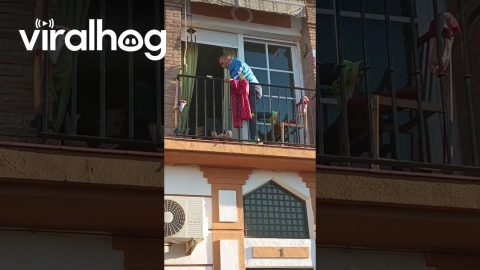 Man Climbs Building To Help Fallen Elderly Woman || ViralHog