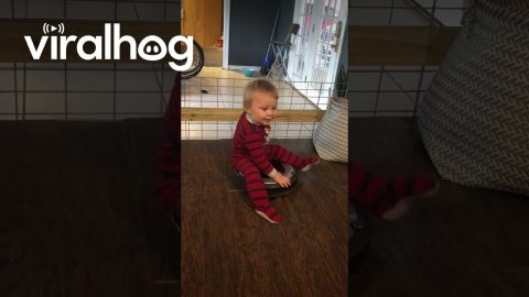 Toddler Loves Riding Roomba || ViralHog