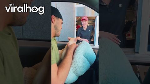 Piglet's First Drive Thru Visit || ViralHog