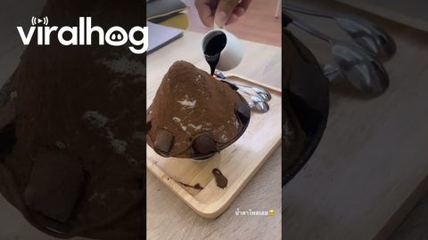Disappointing Dessert Fails To Be Aesthetic || ViralHog