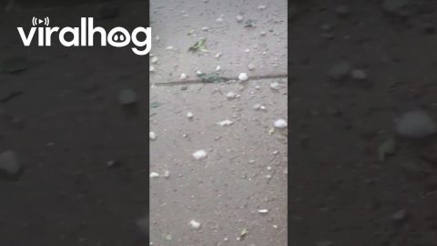 Hail Storm Batters Hot Springs, Arkansas || ViralHog