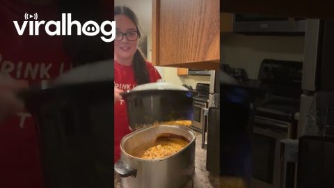 Slow Cooker Breaks While Cooking Dip || ViralHog