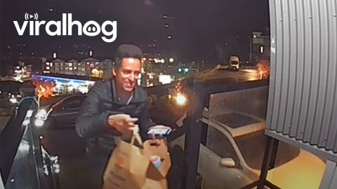 Polite Boy Thanks DoorDash Driver For Delivery || ViralHog