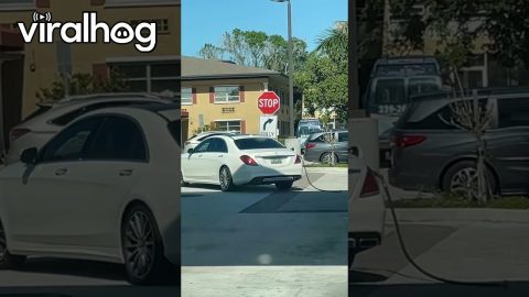 Car Drives Away With Gas Pump || ViralHog