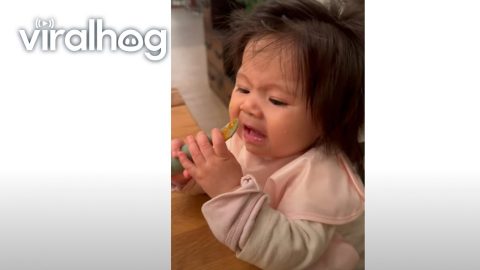 Daughter Tries Veggies For The First Time || ViralHog