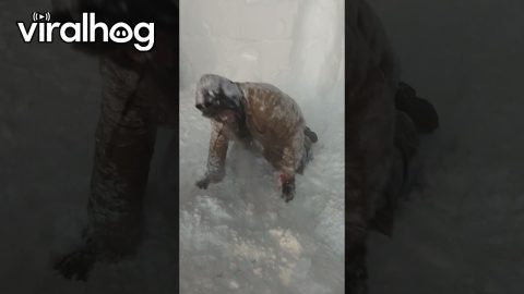 Man Comically Trapped Outside South Pole Doors || ViralHog