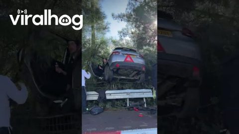 You Can't Park There || ViralHog