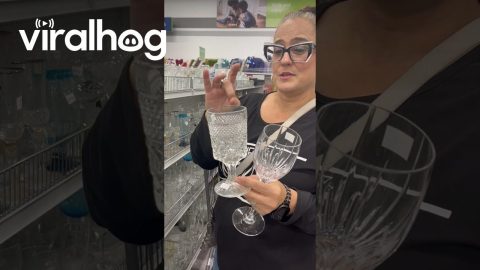Thrift Shopper Explains the Difference Between Crystal and Glass || ViralHog