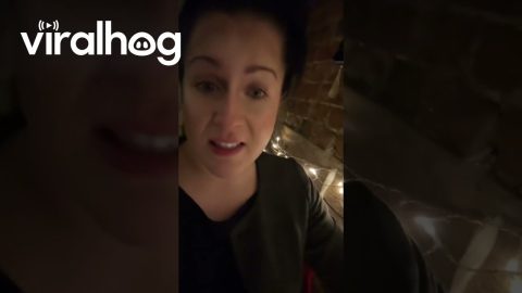 A Message to Christmas Light Companies || ViralHog