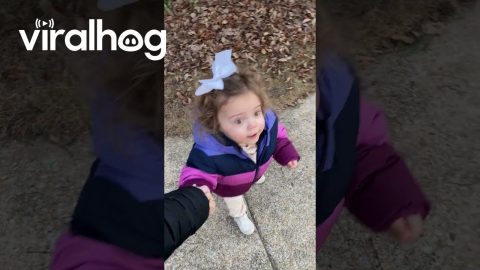Daylight Moon Sighting Excites Girl || ViralHog
