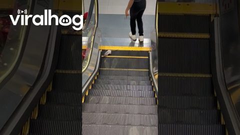 Rat Tries to Go Wrong Way on Escalator || ViralHog