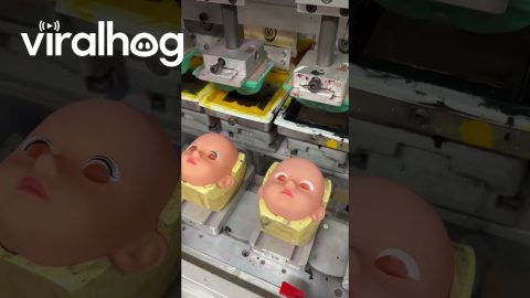 Doll Factory Stamps On Expressions || ViralHog
