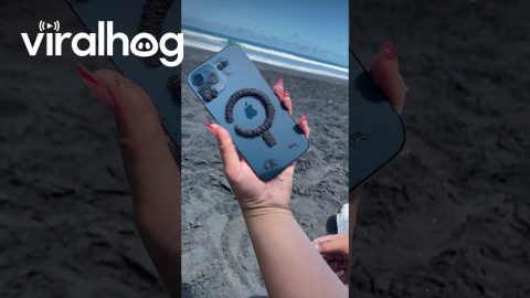 Black Sand Magnetizes To Phone || ViralHog