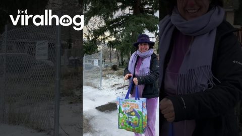 Portlanders Slide Down Icy Drive Way to Protect Their Groceries || ViralHog