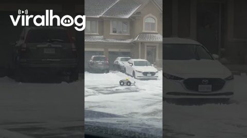 A Tiny Helper In Canadian Winter || ViralHog