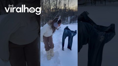 Norwegian Winter Freezes Pants Solid || ViralHog