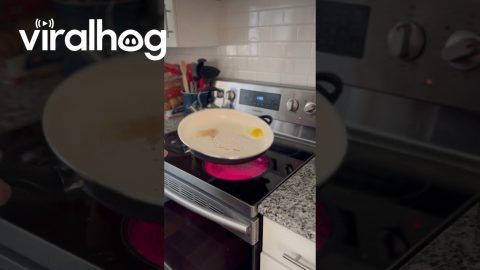Flying Egg Slam-Dunked Back Into Frying Pan || ViralHog