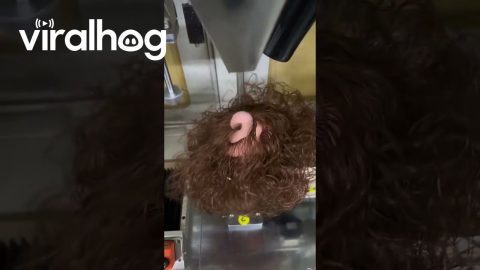 A Doll Receives A Full Head Of Hair || ViralHog