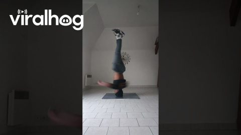 Impressive Head Spin Performance || ViralHog