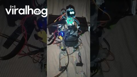AI Robot Describes What It Can See || ViralHog